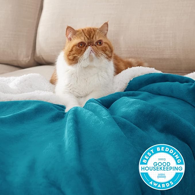 Bedsure Sherpa Fleece Blankets Queen Size for Bed - Thick and Warm, Soft Fuzzy Plush Queen Blanket for Winter, Teal, 90x90 Inches