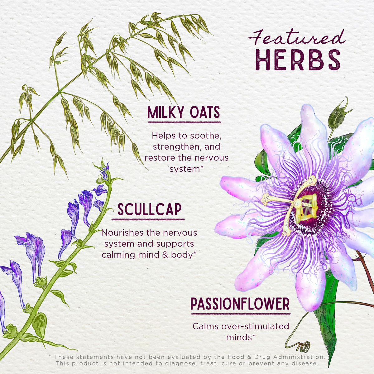 WishGarden Herbs Quiet Time for Kids - Natural Herbal Calming Supplement with Passionflower, Stress Relief for Children Soothes and Calms Over-Stimulated Children, Kids Calming Supplement, 2oz