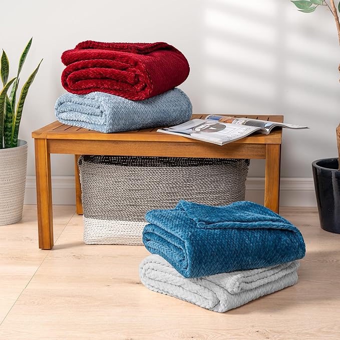 PAVILIA Soft Fleece Light Grey Throw Blanket for Couch, Lightweight Plush Warm Blankets for Bed, Fuzzy Cozy Flannel Blanket Throw for Sofa, Travel, Jacquard Pattern, Light Gray, Twin, 60x80 inch