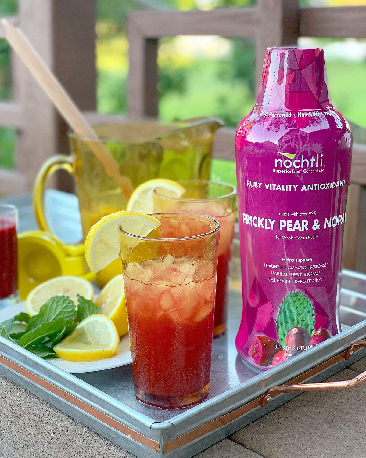 nochtli Recover Prickly Pear Liquid Supplement 1L (4-pack)