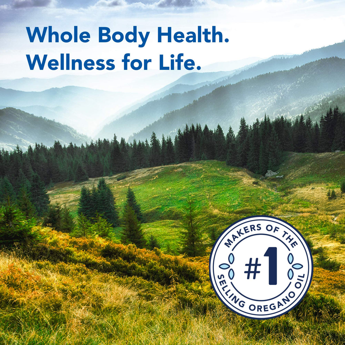 NORTH AMERICAN HERB & SPICE Sagenol - 1 fl. oz. - Wild Sage Oil - Healthy Hormone Support, Antioxidant Power - Non-GMO - 60 Servings