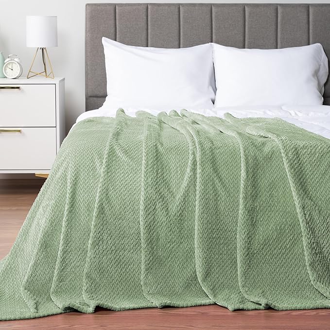 PAVILIA Soft Fleece Light Green Throw Blanket for Couch, Lightweight Plush Warm Blankets for Bed, Fuzzy Cozy Flannel Blanket Throw for Sofa, Travel, Jacquard Pattern, Sage Green, 50x60 inch