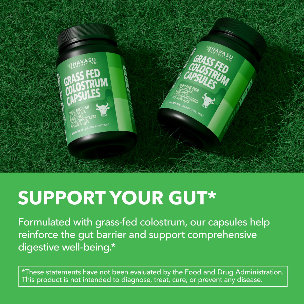 Grass Fed Colostrum Supplement for Immune and Gut Health - 1000mg Bovine Colostrum per Serving with 40% IgG - 120 Count - Non-GMO, Gluten-Free Colostrum Capsules for Adults - 60 Day Supply