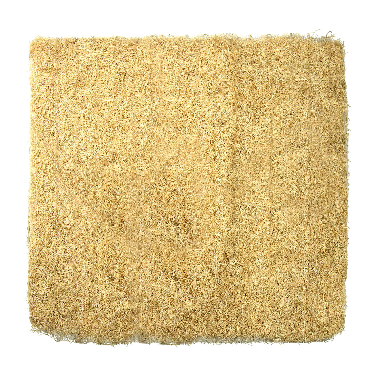 Champion Cooler Evaporative Cooler Media, 27 1/2 x 27 3/4 in, Uncoated 110098-1 Each