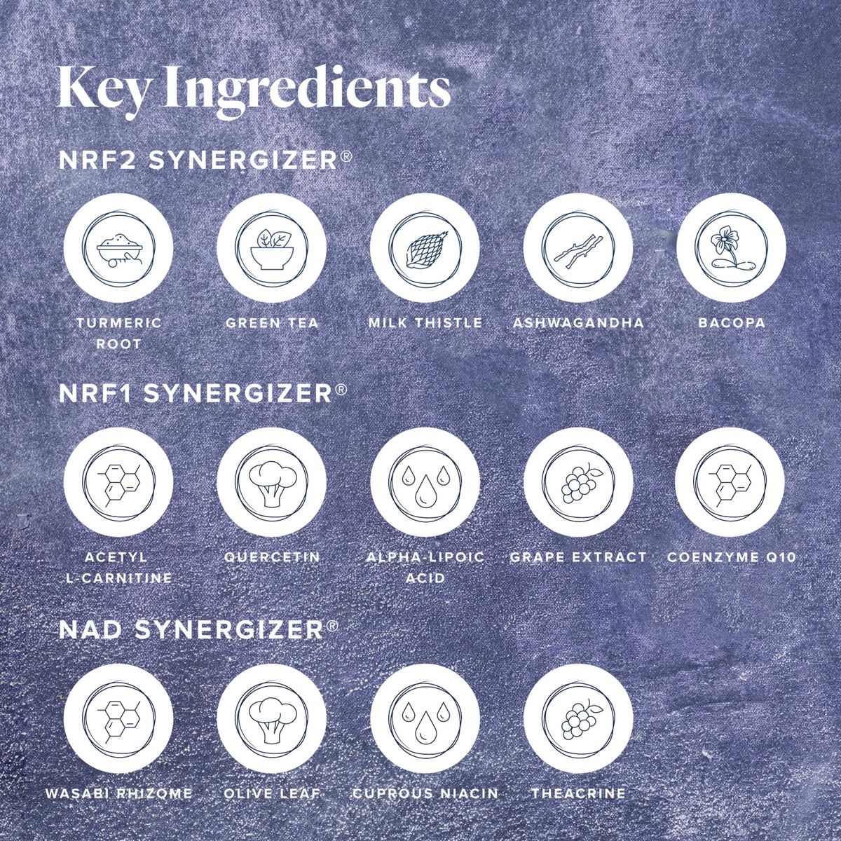 LifeVantage Protandim Tri-Synergizer, NRF1 Supplement 60 Caps, NRF2 Supplement 30 Caps, NAD 30 Caps, Mitochondrial, Cellular Energy & Anti Aging Support, Brain Booster & Antioxidant Blend
